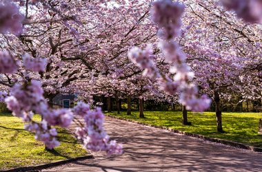 Spring In Copenhagen: A Fresh Start In The Danish Capital