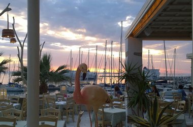 Flamingo Restaurant Naxos: A Dining Experience With A View
