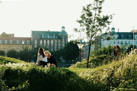 A Glimpse of Copenhagen