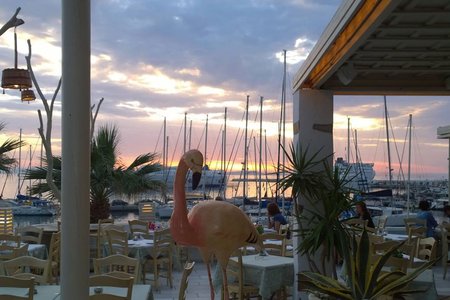 Flamingo Restaurant Naxos: A Dining Experience with a View