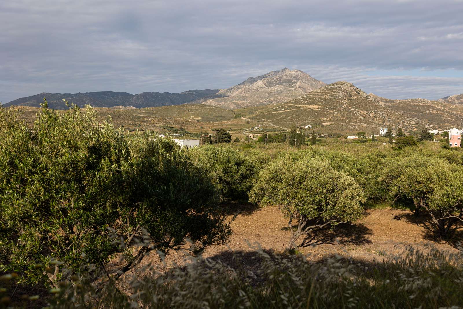 Galini