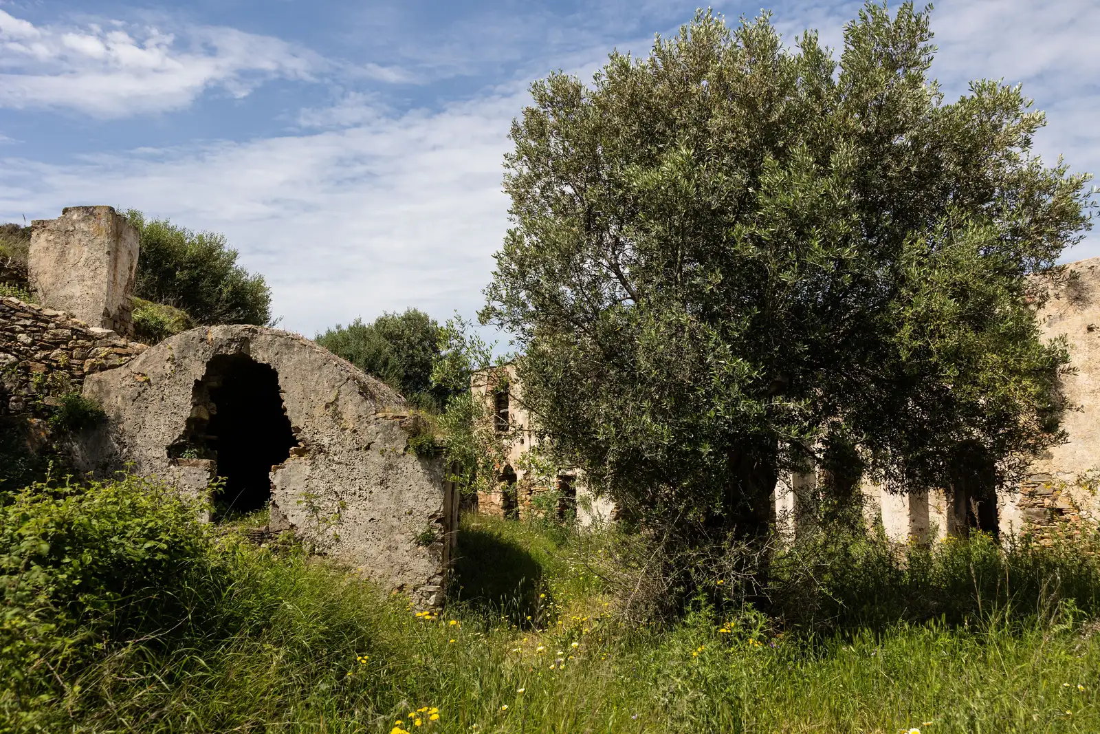 Old Jesuits Resort
