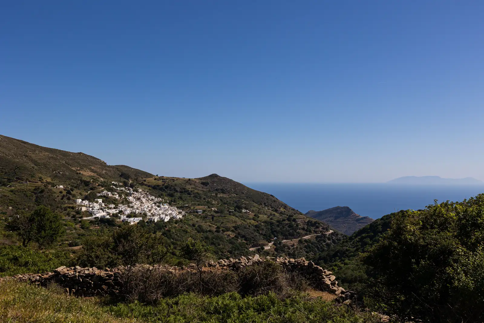 Koronida