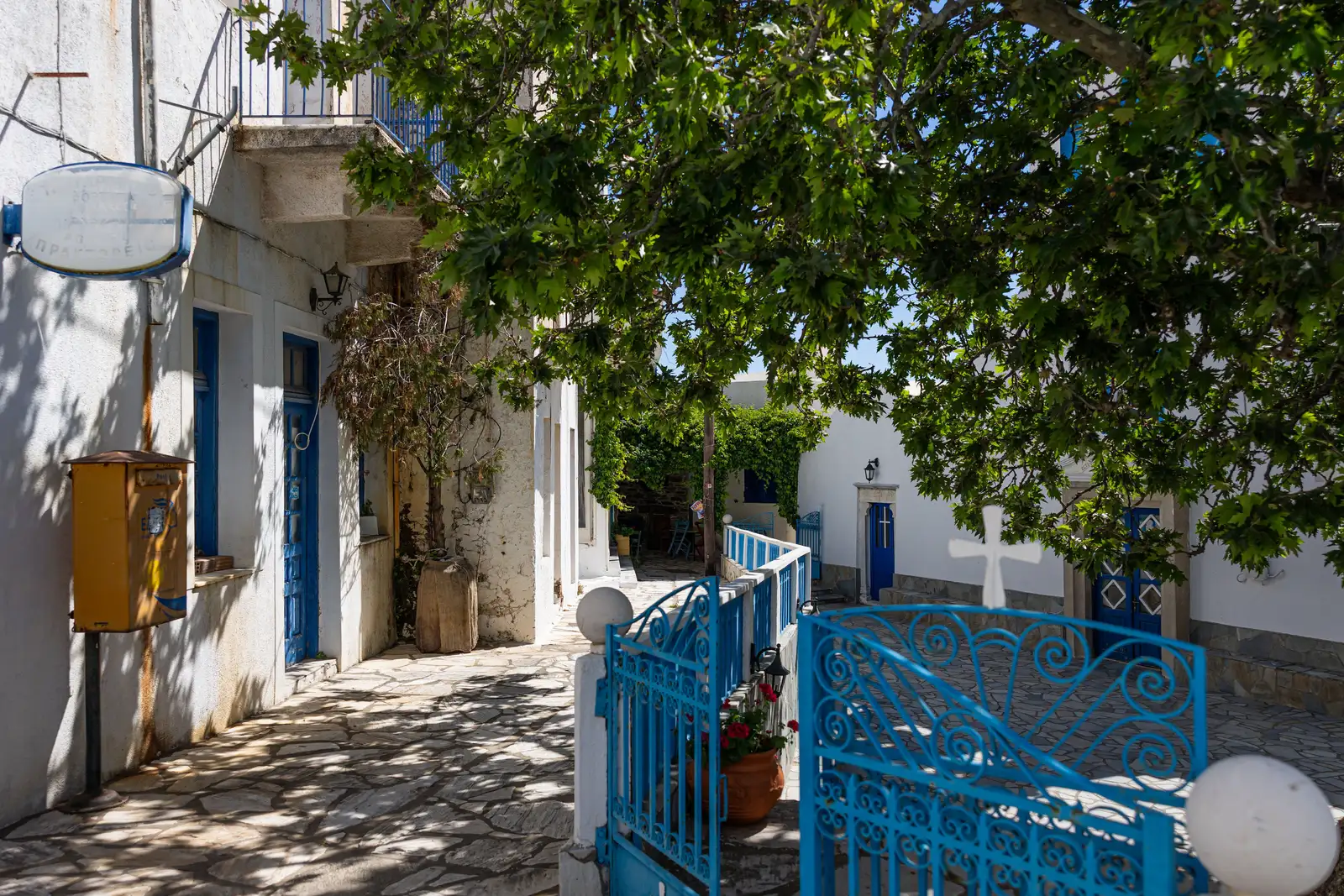 Koronida