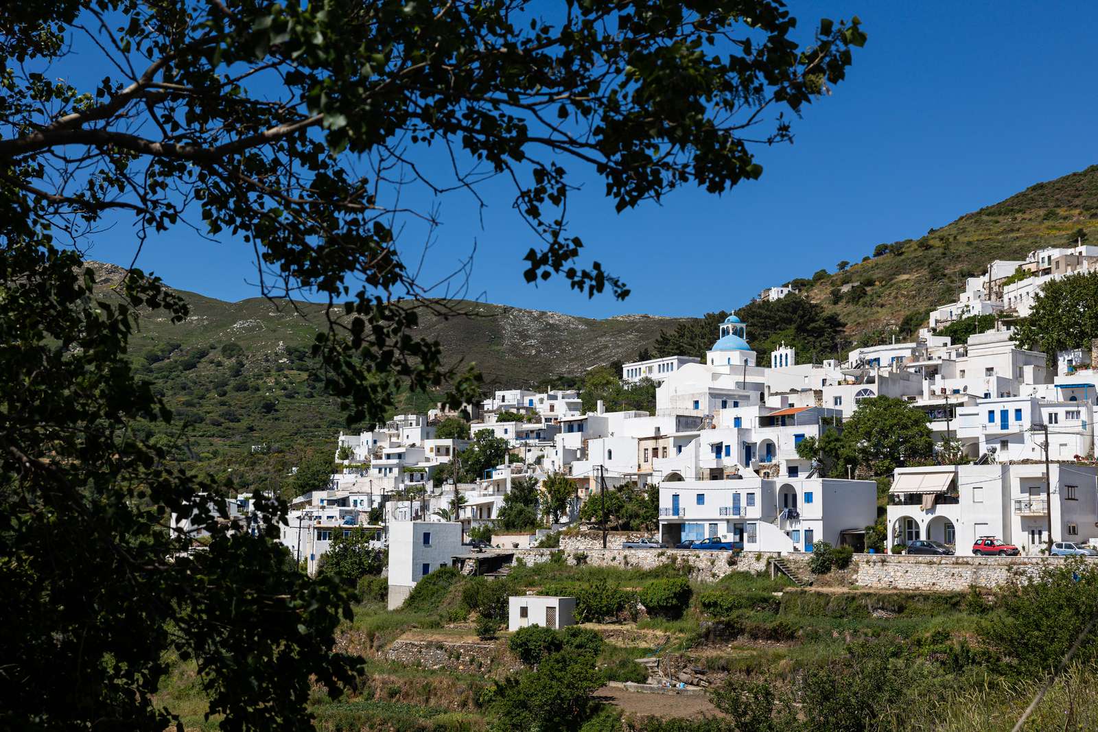 Koronida