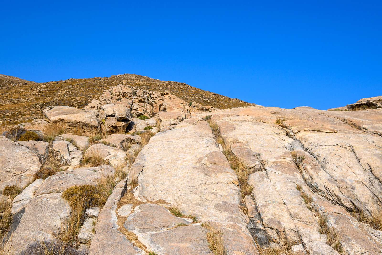 Mycenaean Acropolis