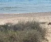 Tsoukalia