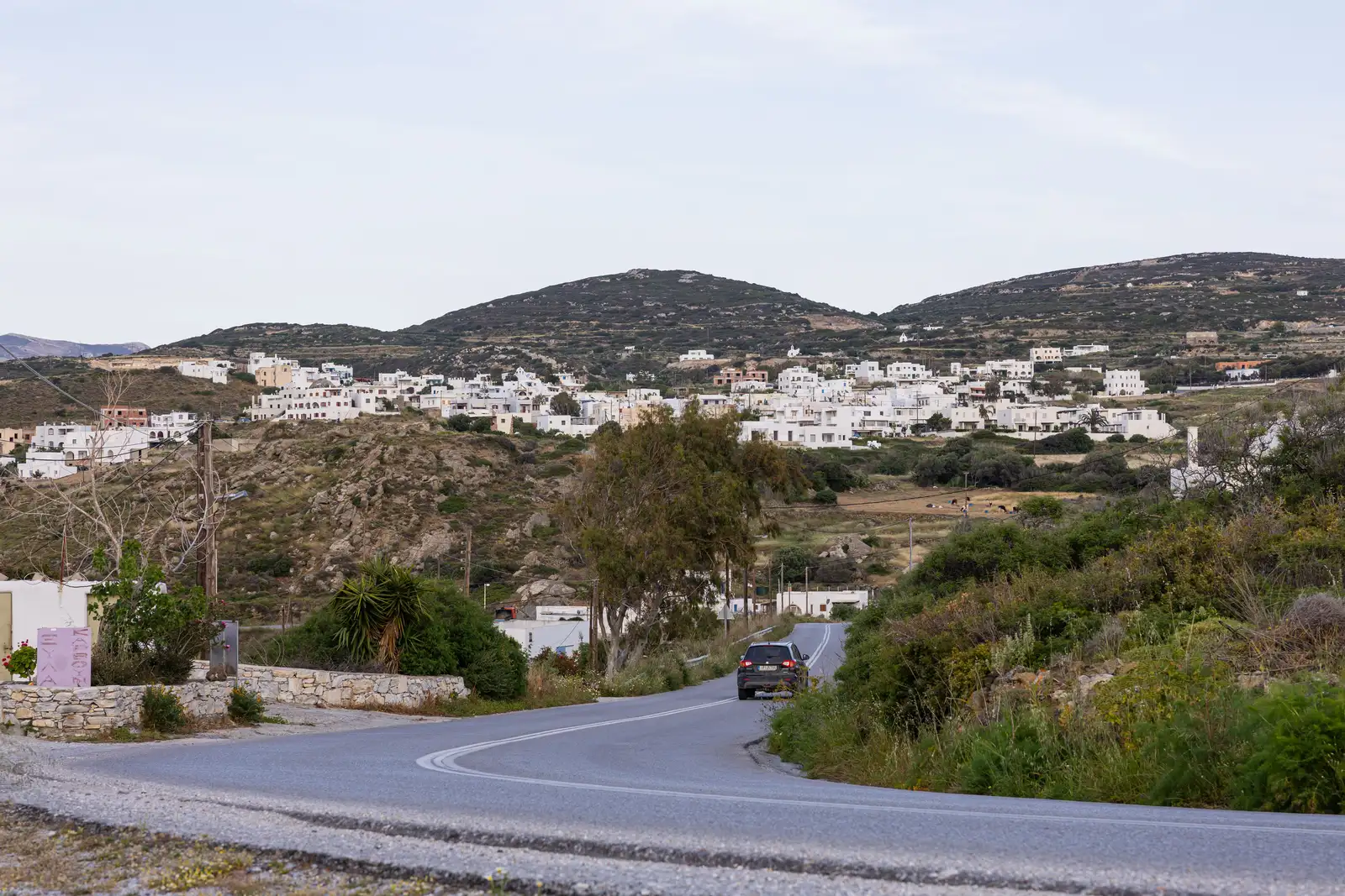 Galanado