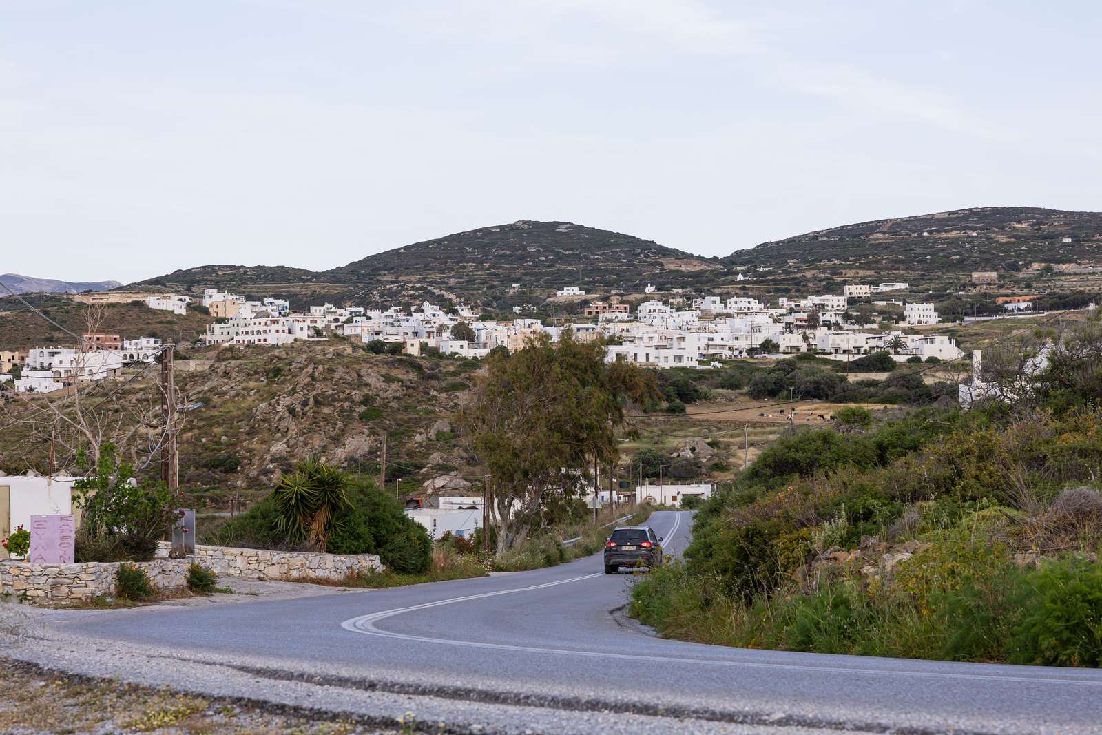 Galanado