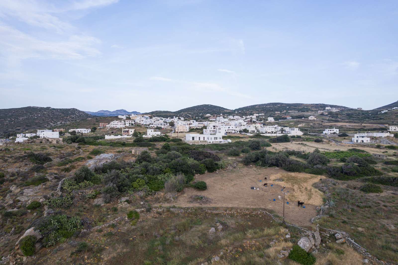 Galanado