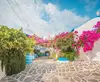 Prodromos
