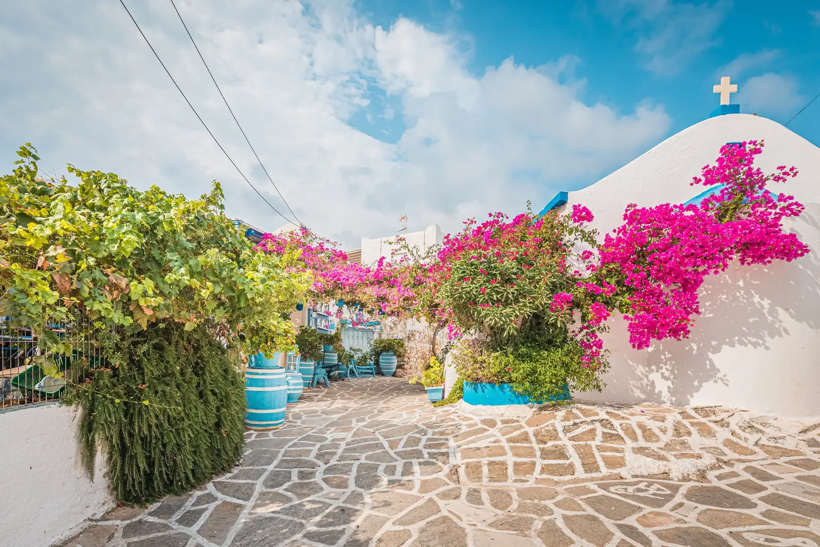 Prodromos