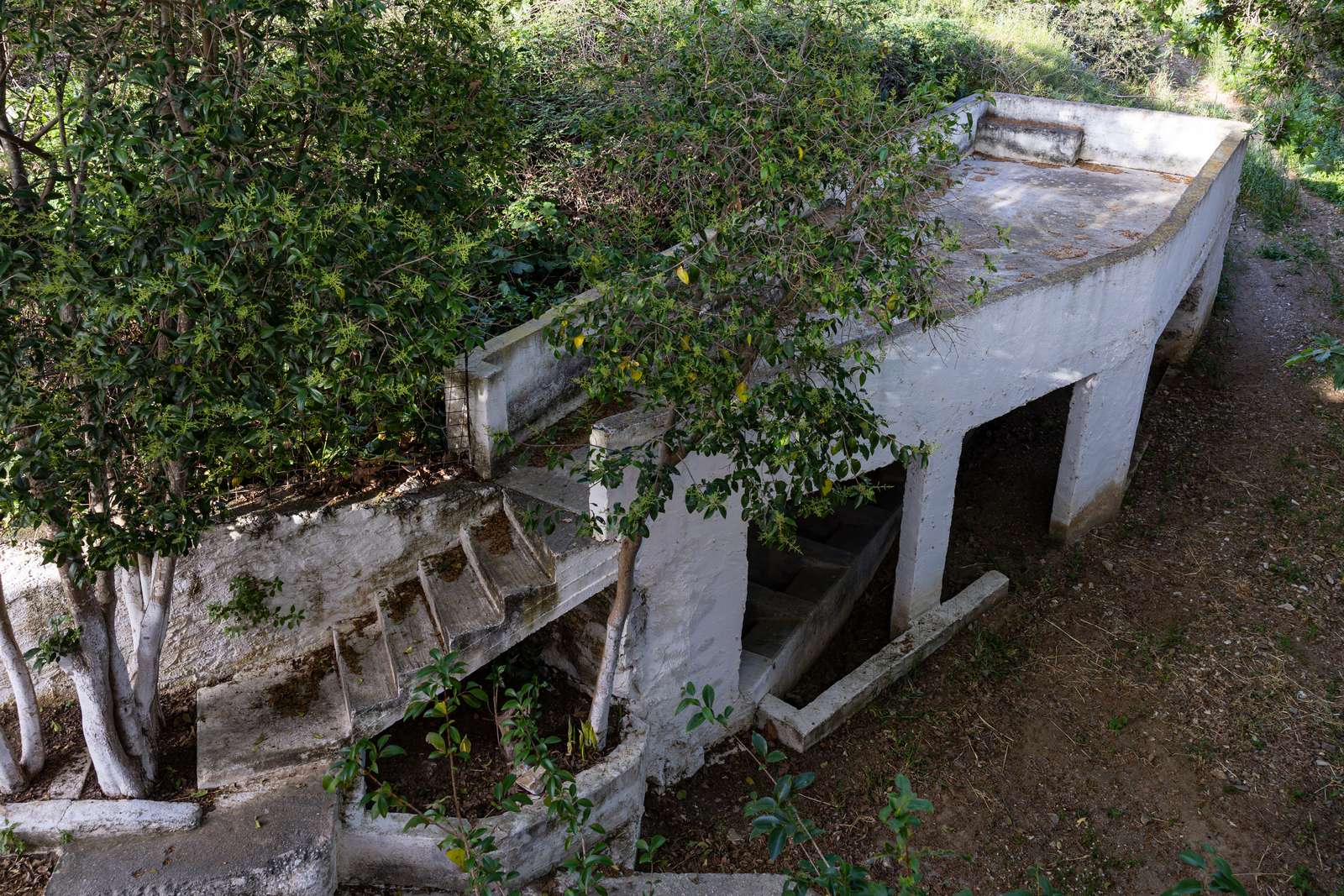 Glynado