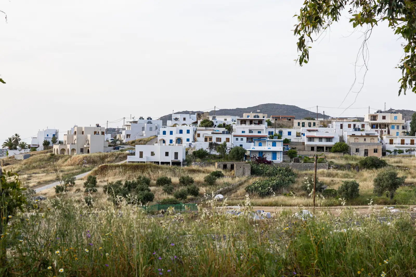 Glynado