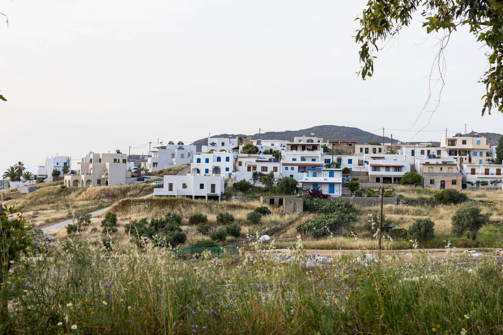 Glynado