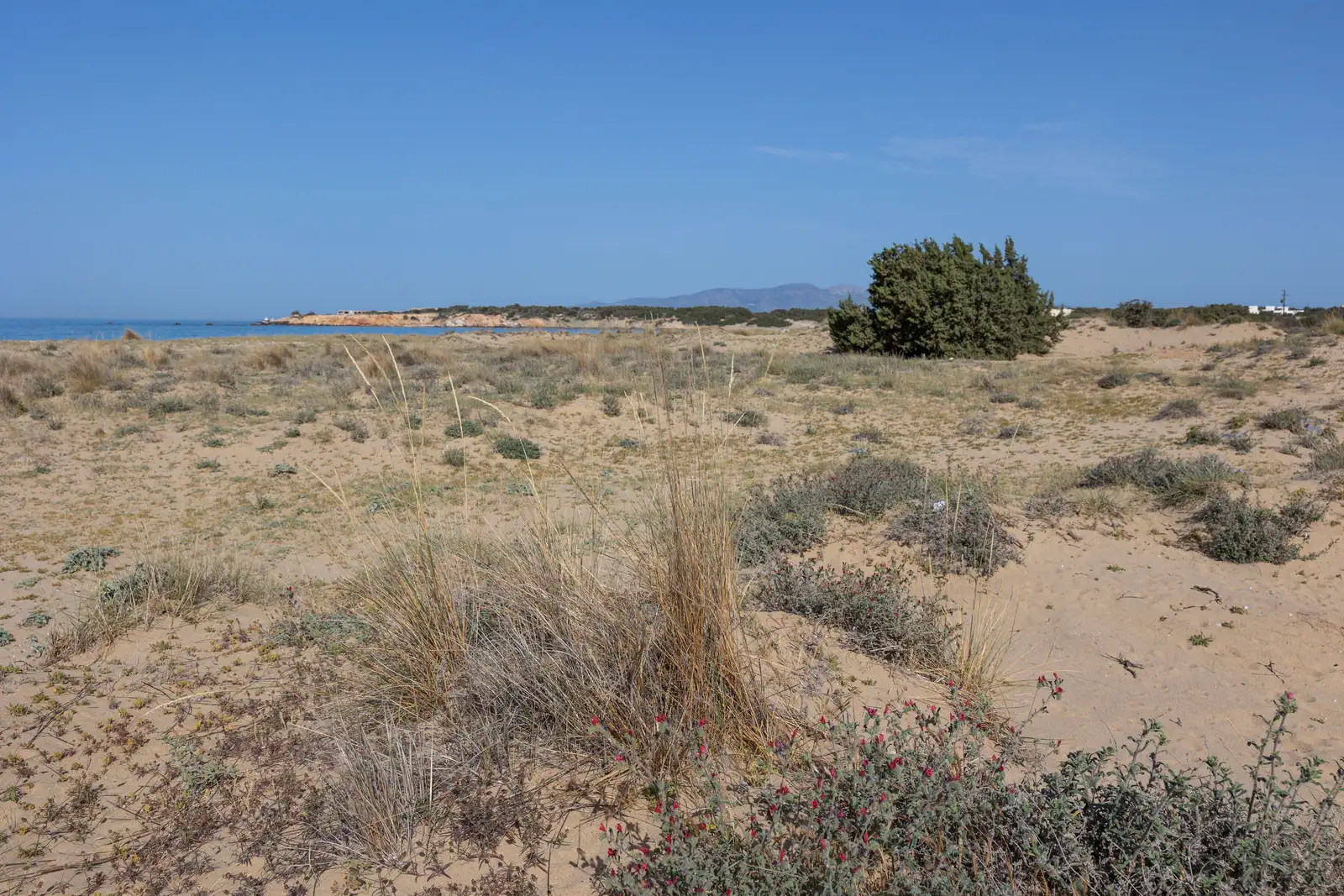 Pyrgaki beach