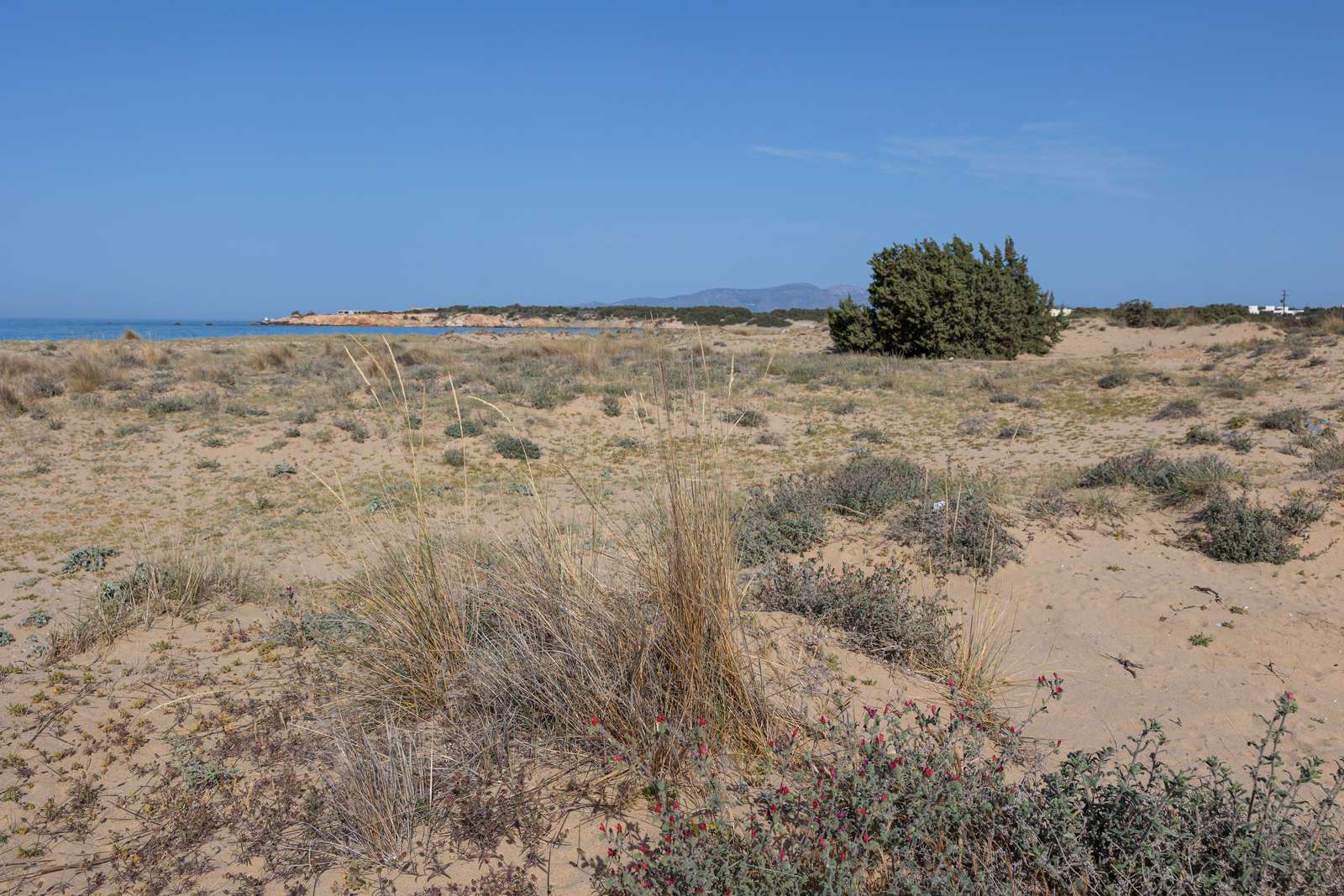 Pyrgaki beach