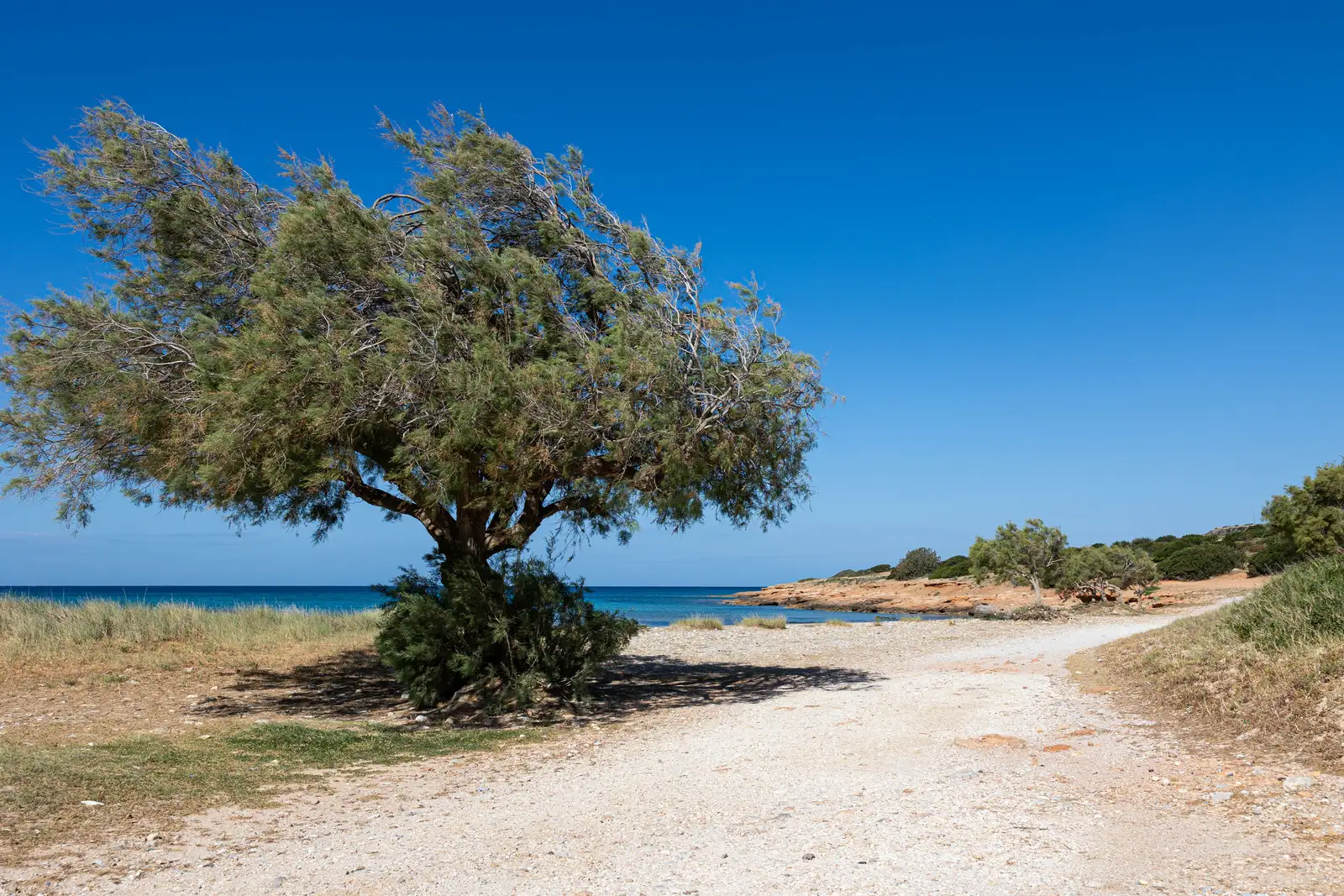 Agiassos beach